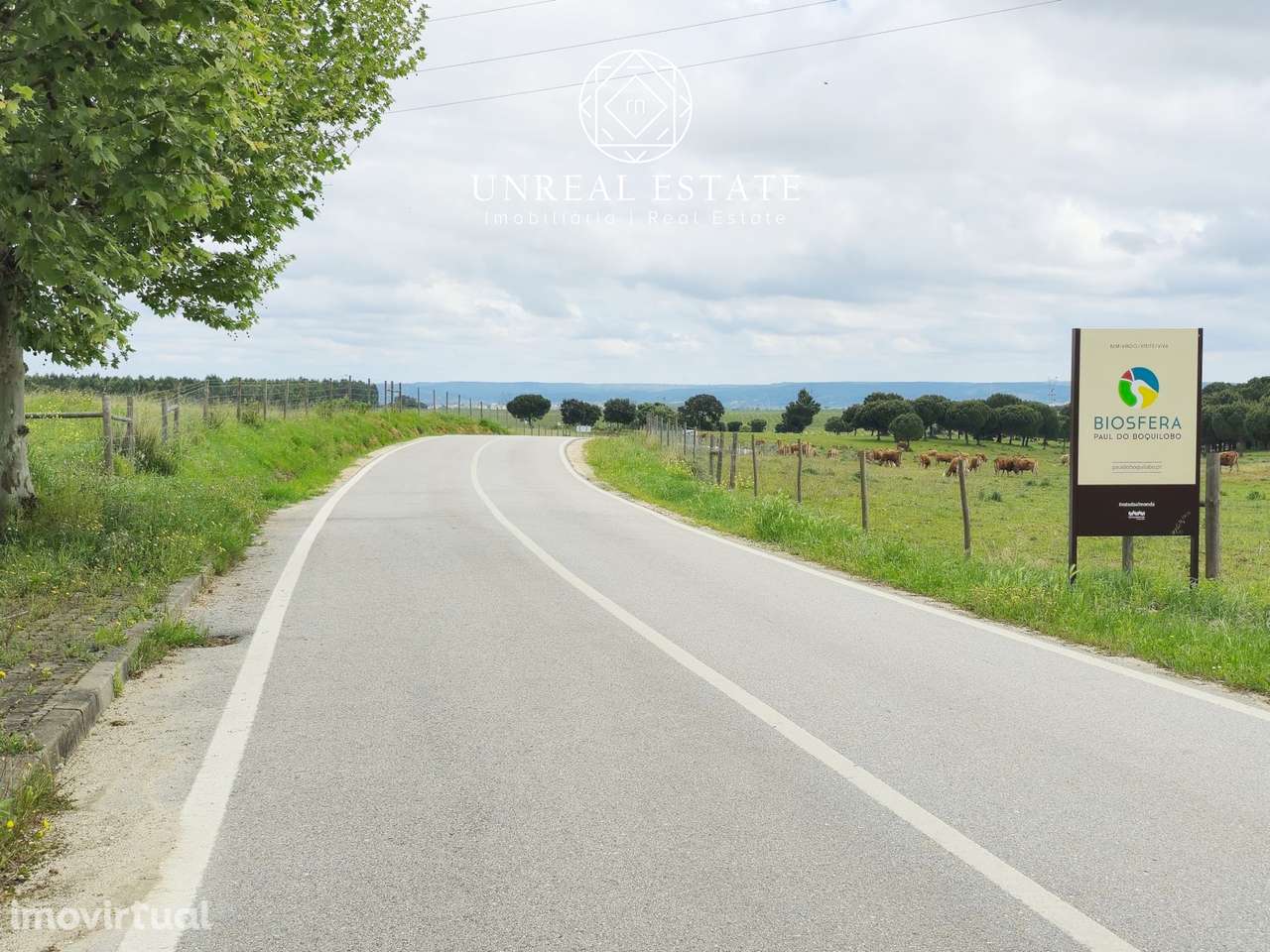 Lote de Terreno  Venda em Brogueira, Parceiros de Igreja e Alcorochel, - Grande imagem: 5/13
