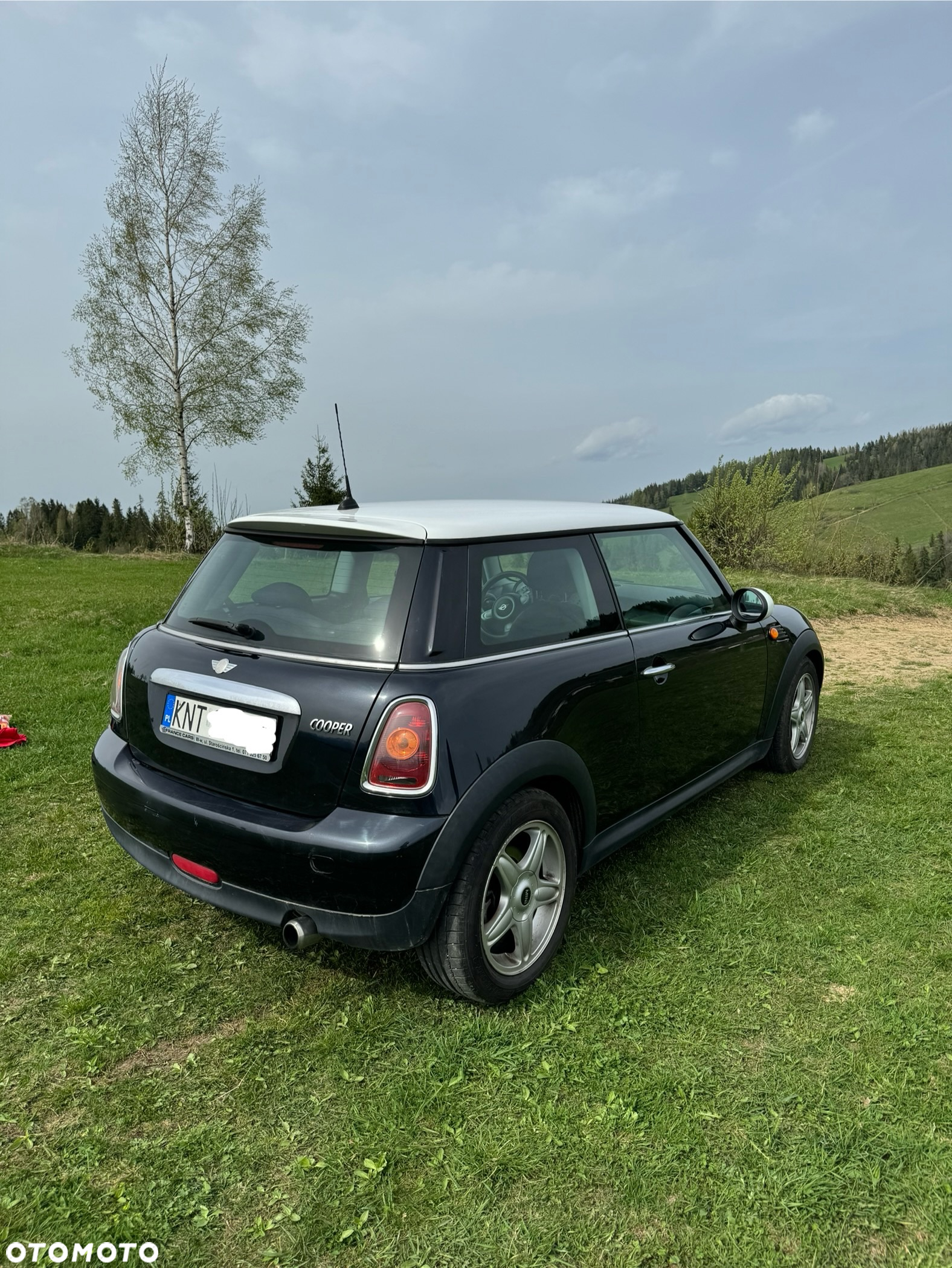 MINI ONE Standard - 2