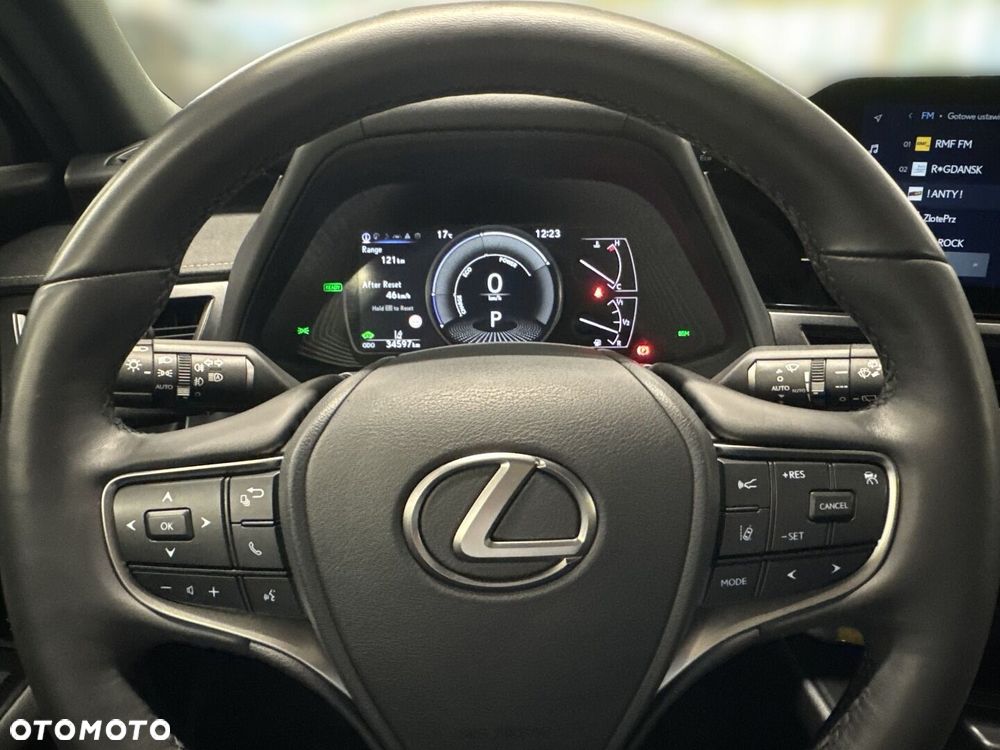 Lexus UX 250h GPF F Sport Design 2WD - 19