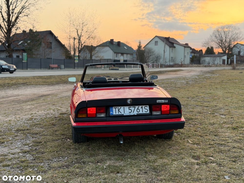 Alfa Romeo Spider - 7