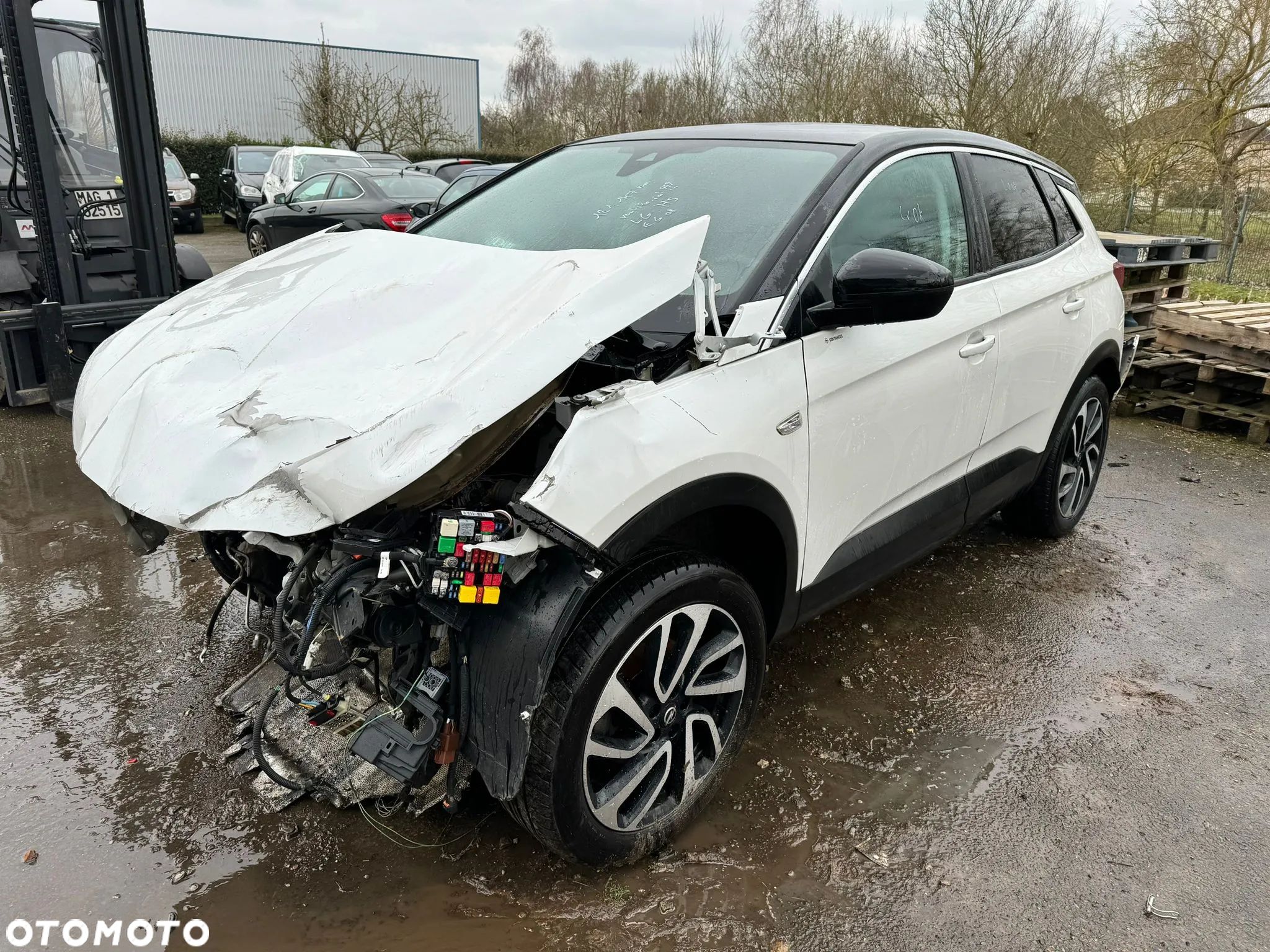 Opel Grandland X - 1