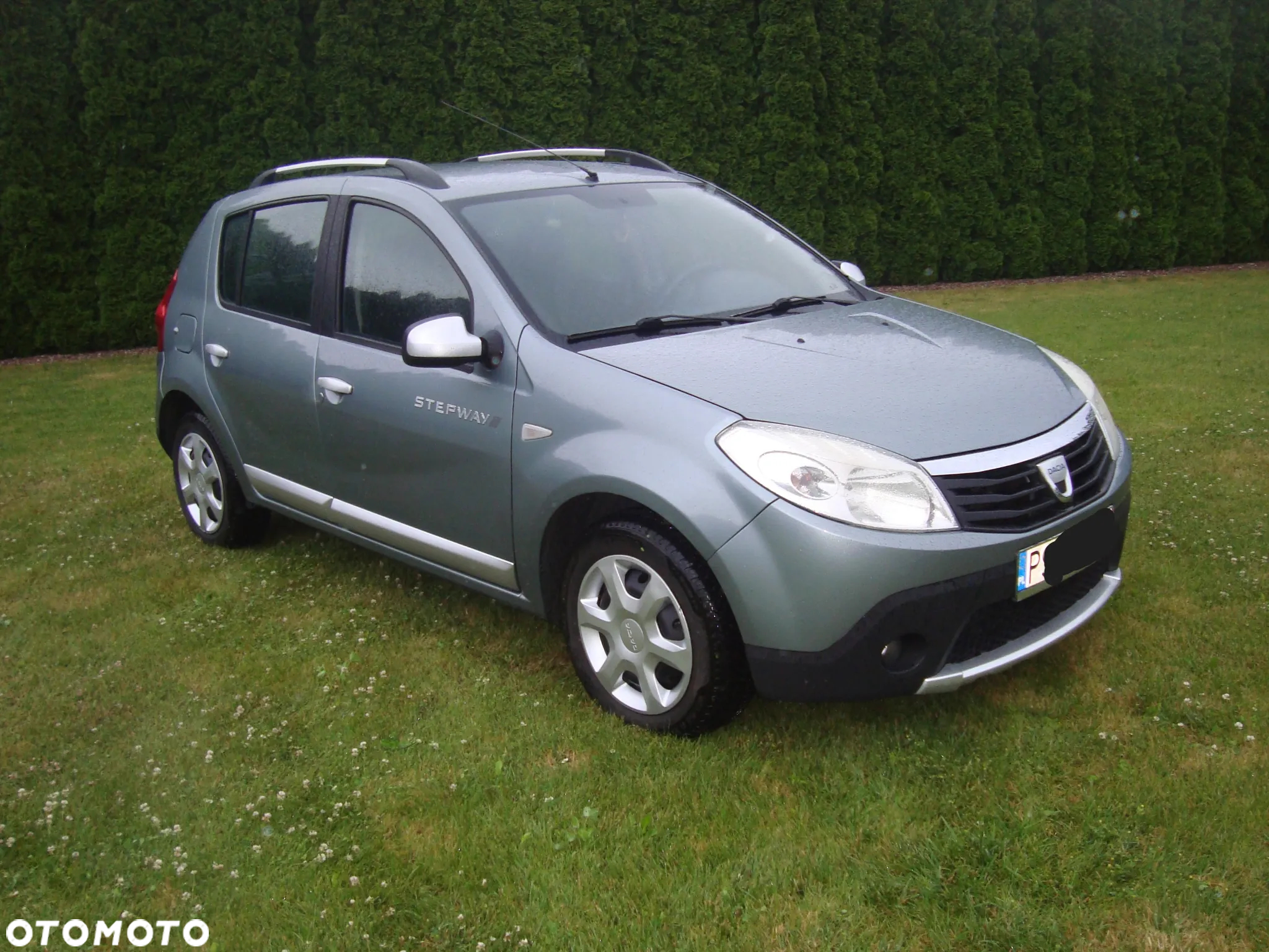 Dacia Sandero Stepway 1.6 - 17