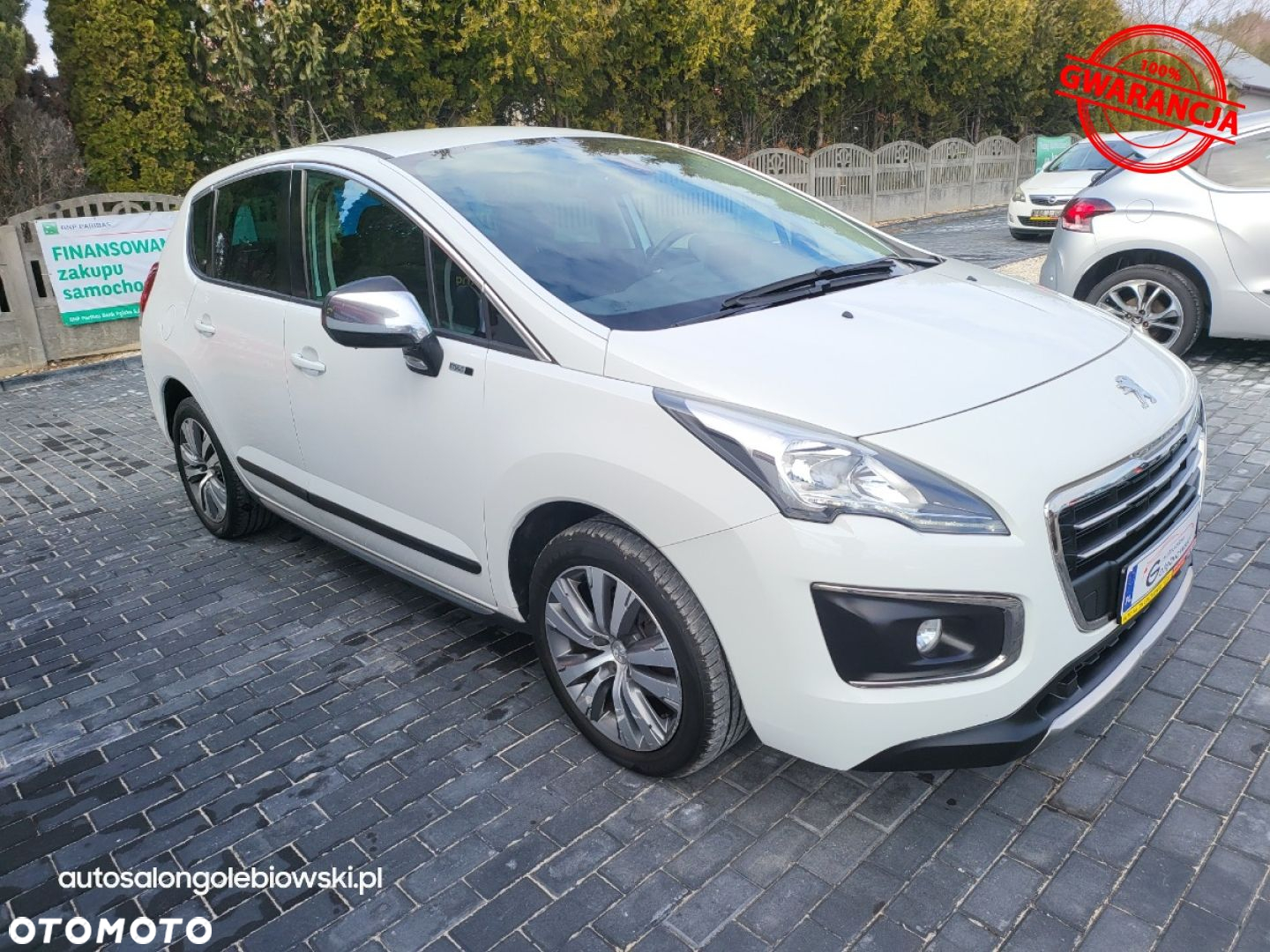 Peugeot 3008 - 18
