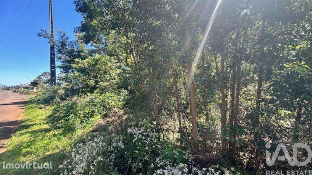 Terreno para construção em São Jorge de 1560,00 m2 - Grande imagem: 3/11