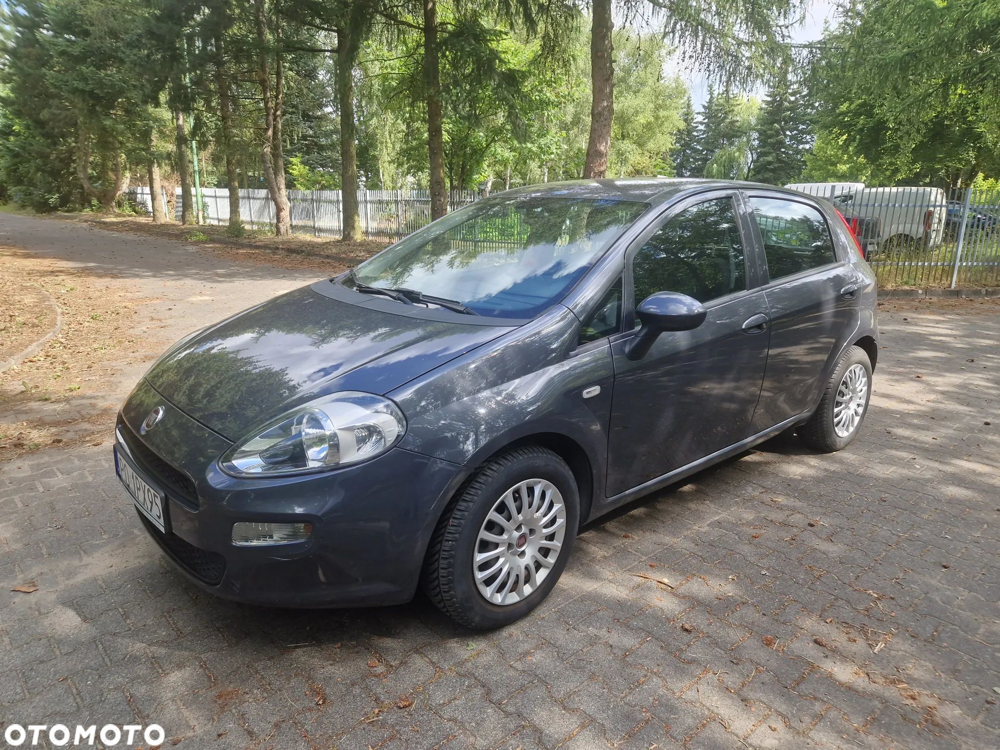 Fiat Punto 1.2 Easy - 1