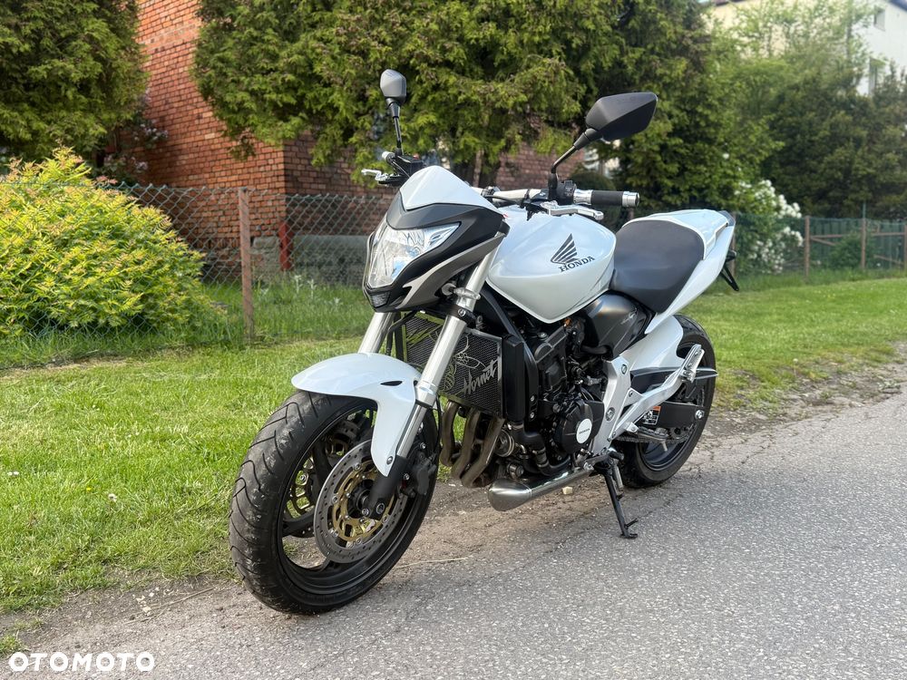 Honda Hornet - 8