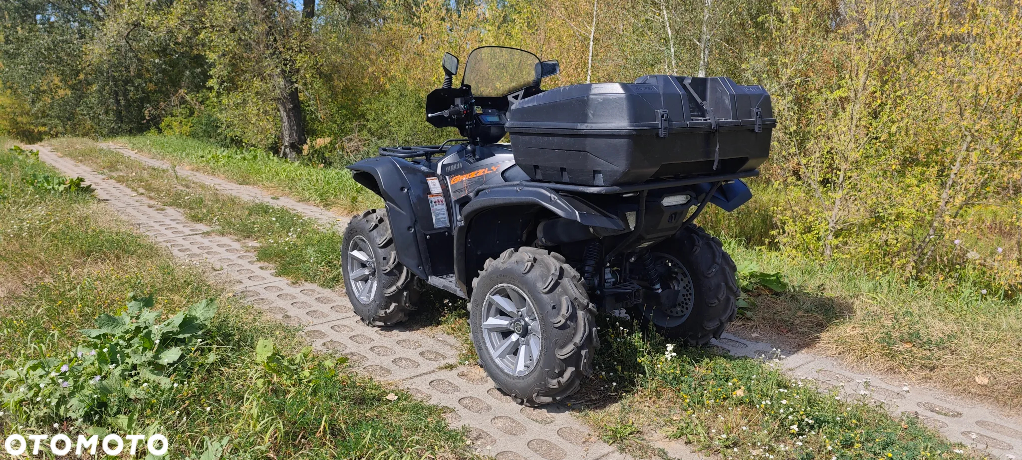 Yamaha Grizzly
