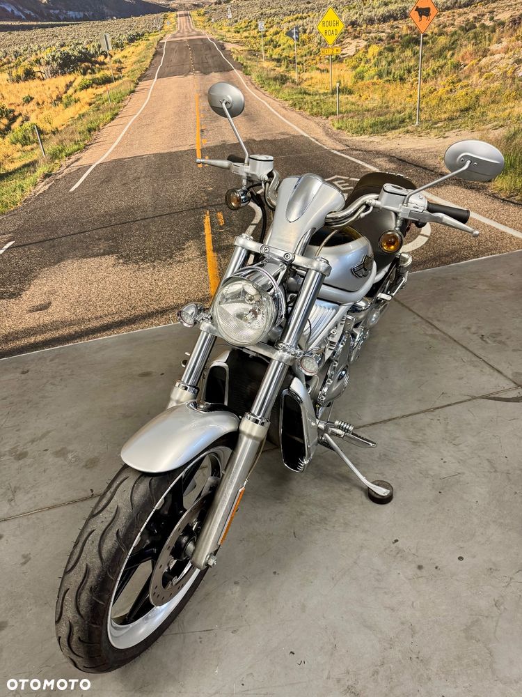 Harley-Davidson V-Rod Street Rod - 7