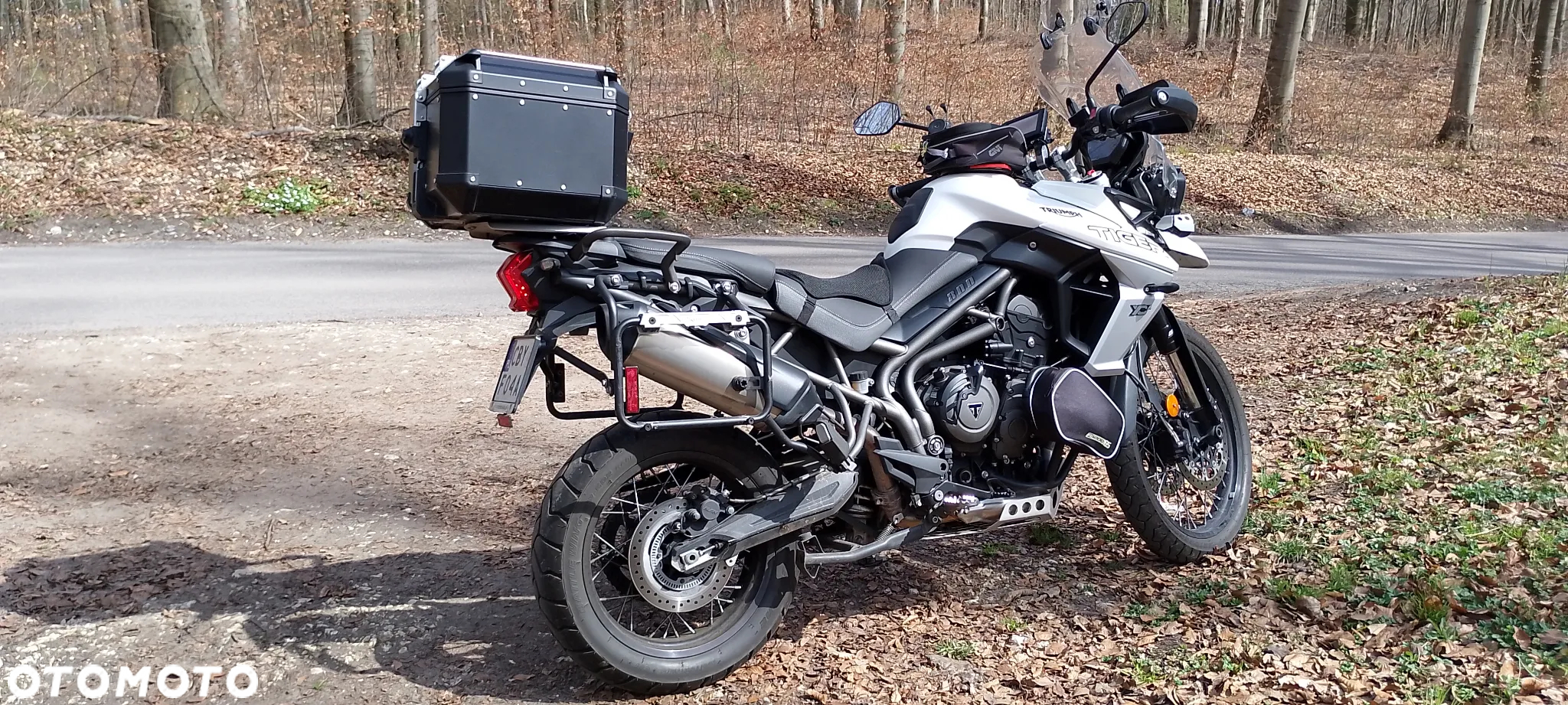 Triumph Tiger