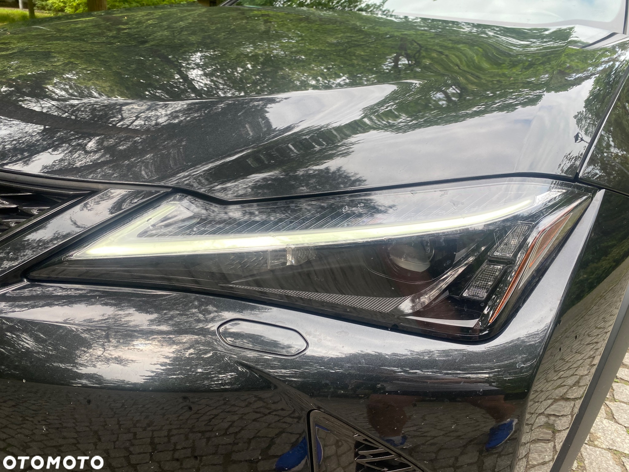 Lexus UX 250h GPF F Sport Design 2WD - 9