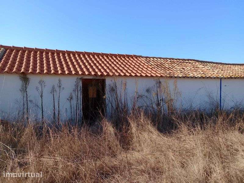 Vende-se Quinta agrícola com 4,20 hectares, inclui pequena construção - Grande imagem: 3/3
