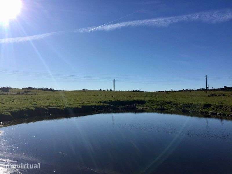 Vende-se herdade com 221.000m2 em Alagoa - Portalegre (Alentejo)
