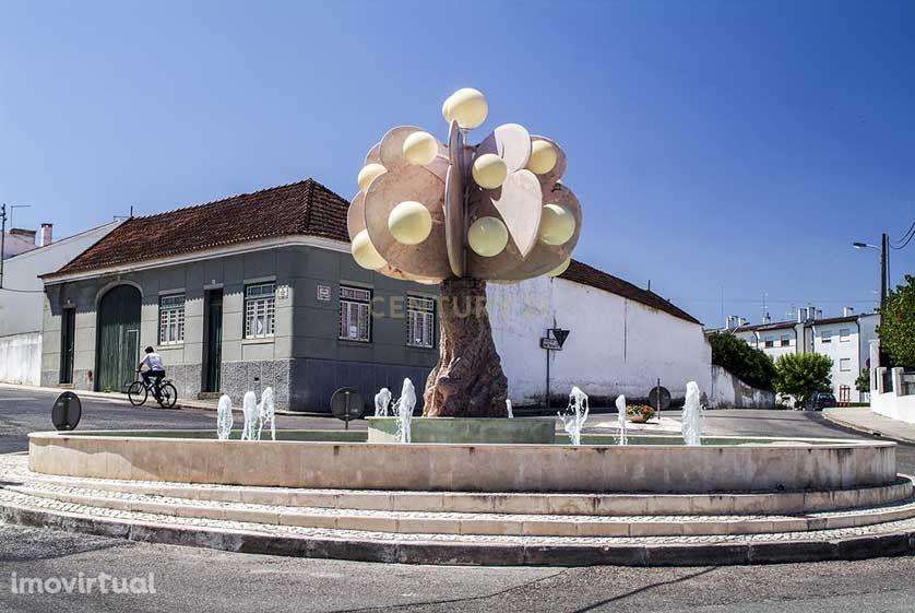 Terreno Rustico com viabilidade de Construção - Alpiarça - Grande imagem: 5/9