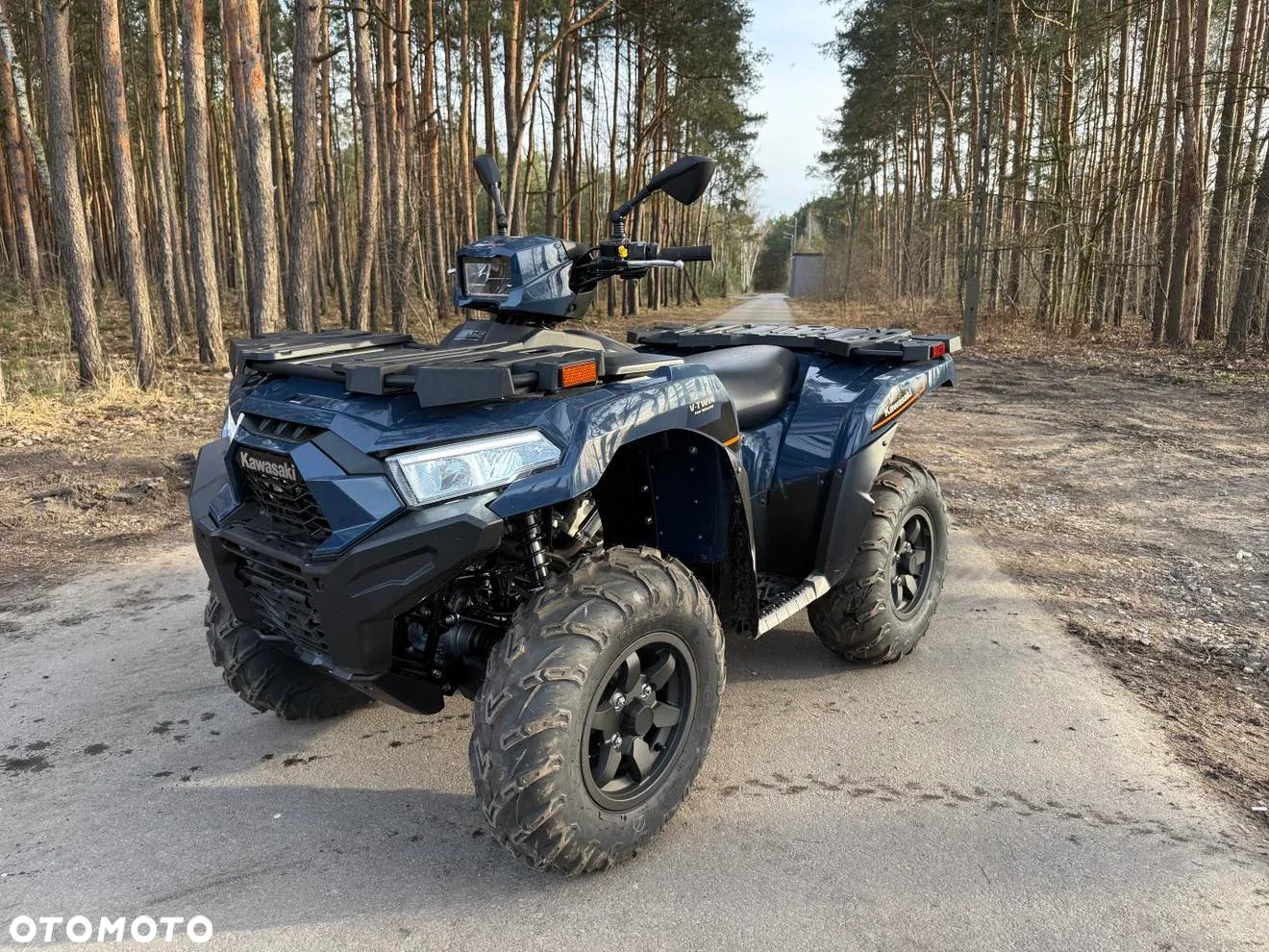 Kawasaki Brute Force