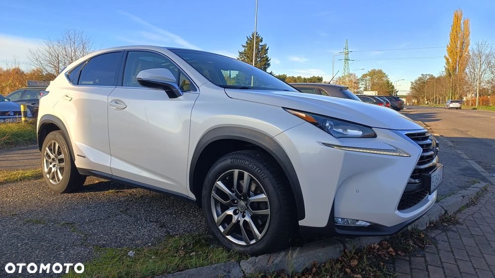 Lexus NX 300h Comfort AWD - 7