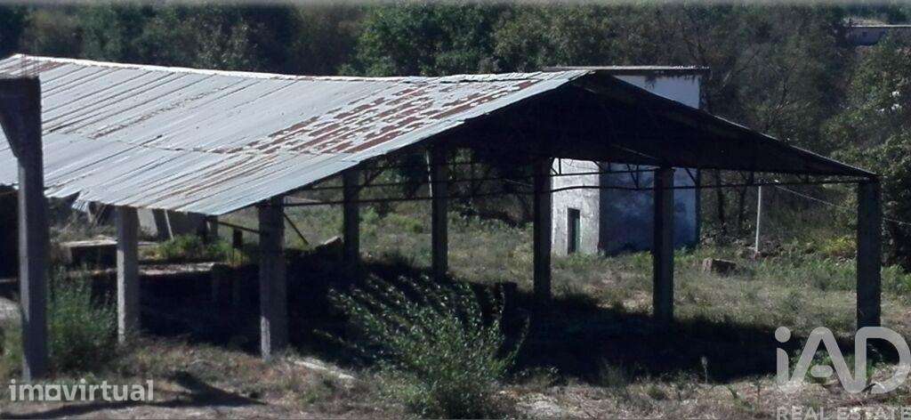 Hangar em Mangualde, Mesquitela e Cunha Alta de 320,00 m2 - Grande imagem: 2/3