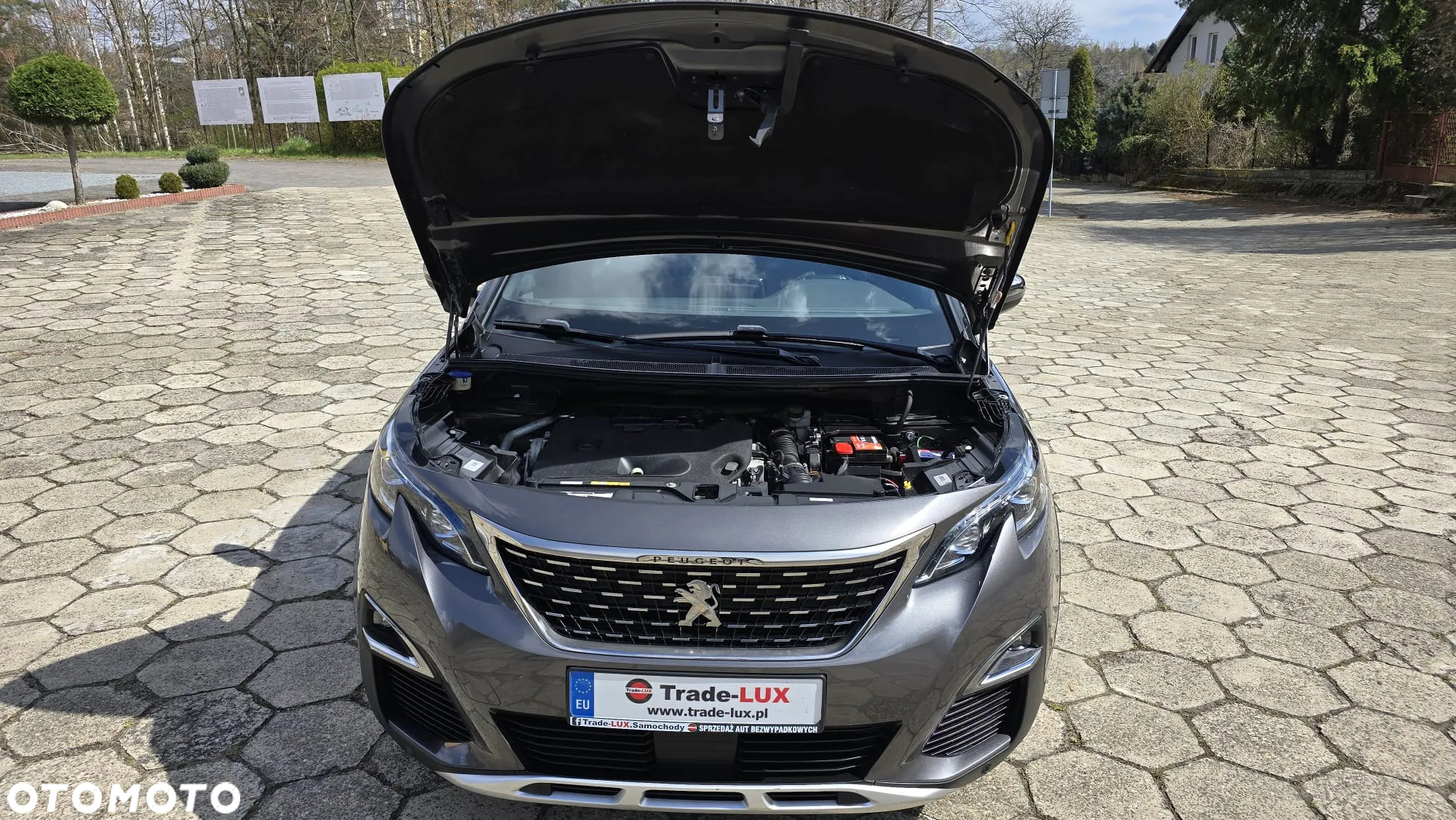 Peugeot 3008 BlueHDi 180 Stop & Start EAT8 GT - 38