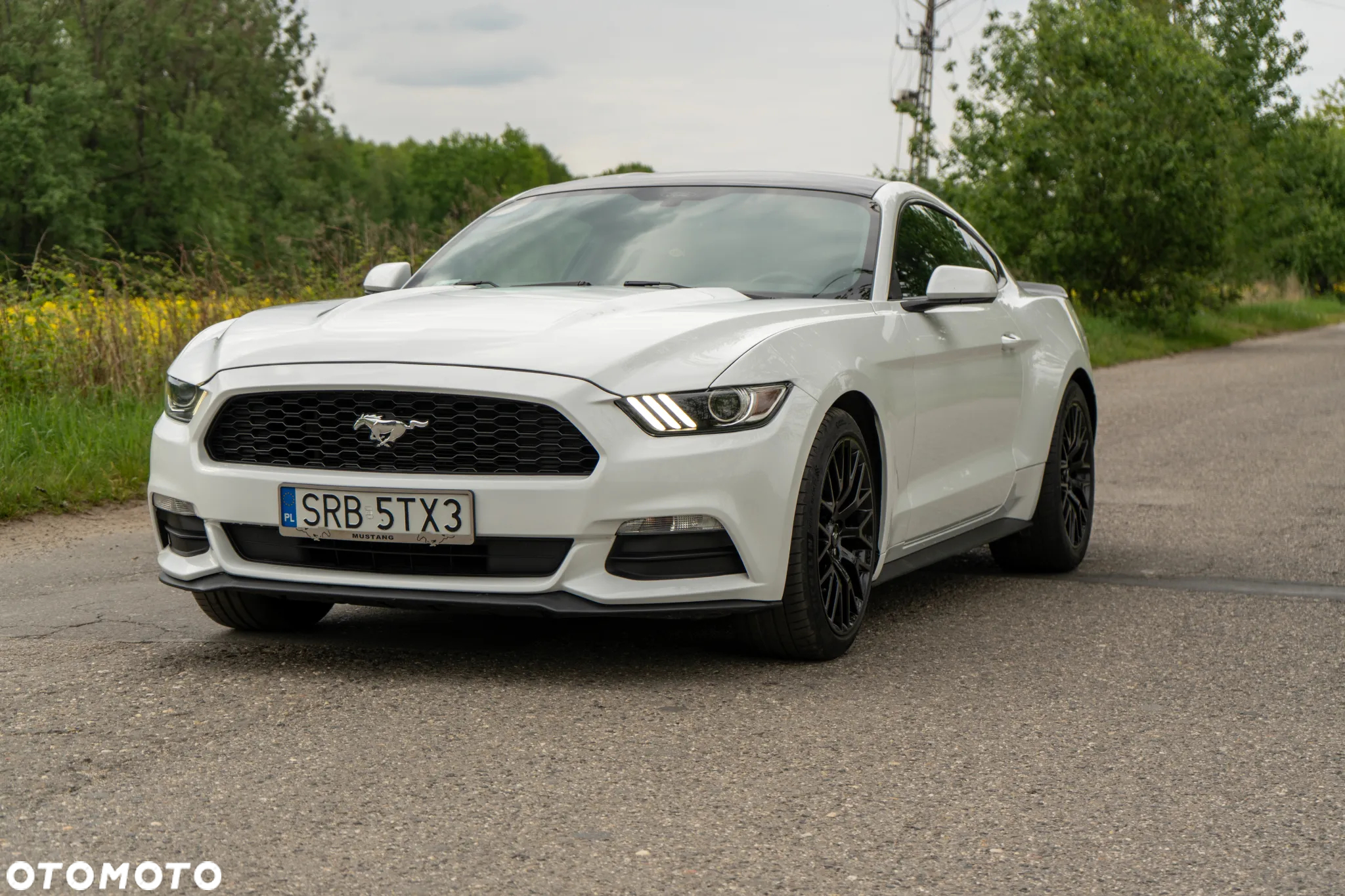 Ford Mustang - 2