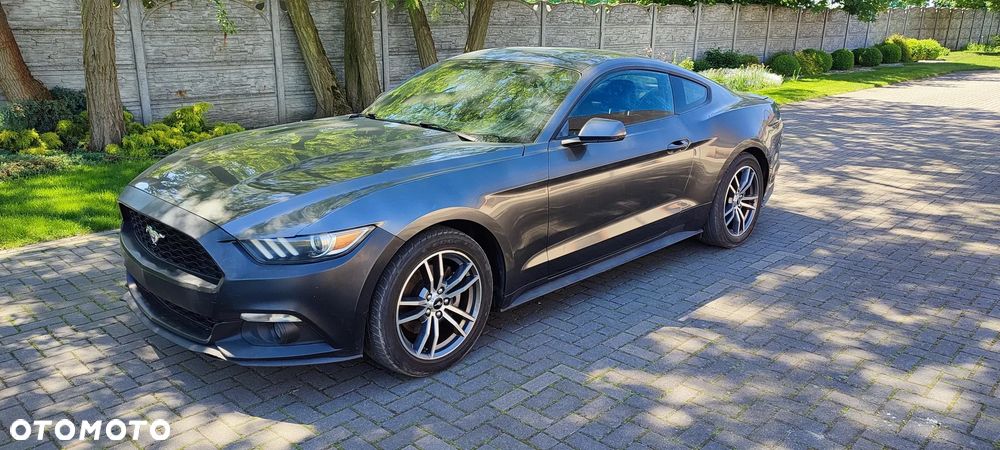 Ford Mustang - 1