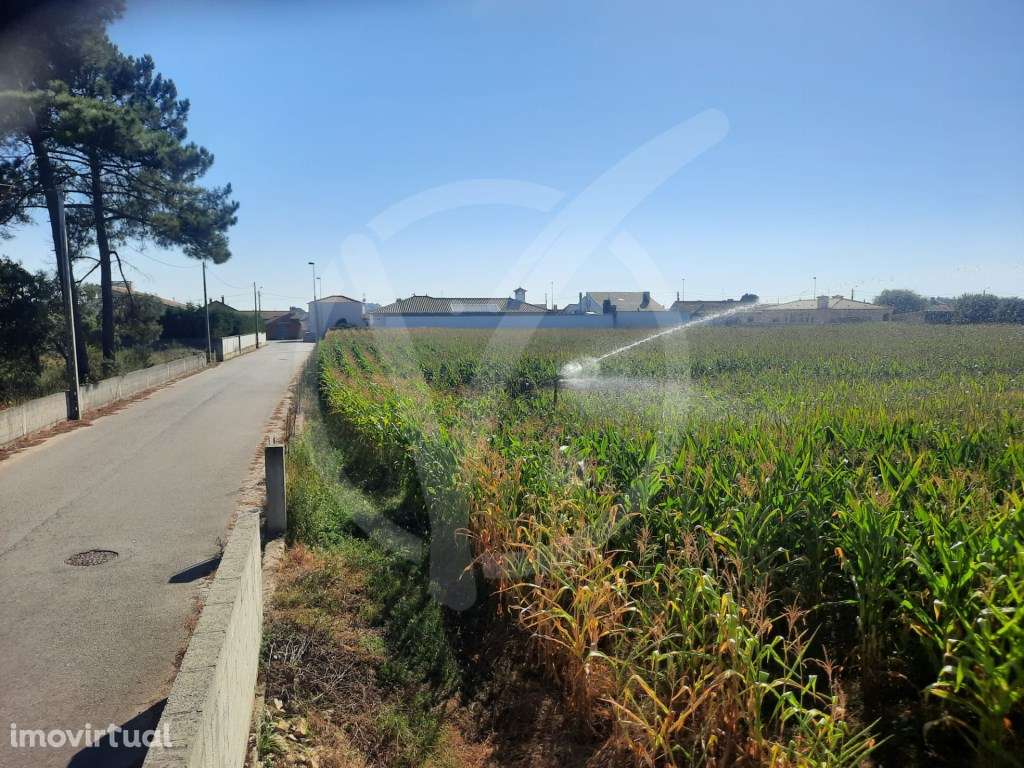 Terreno c/ 6.000 m2 - Estela Póvoa de Varzim - Grande imagem: 3/5