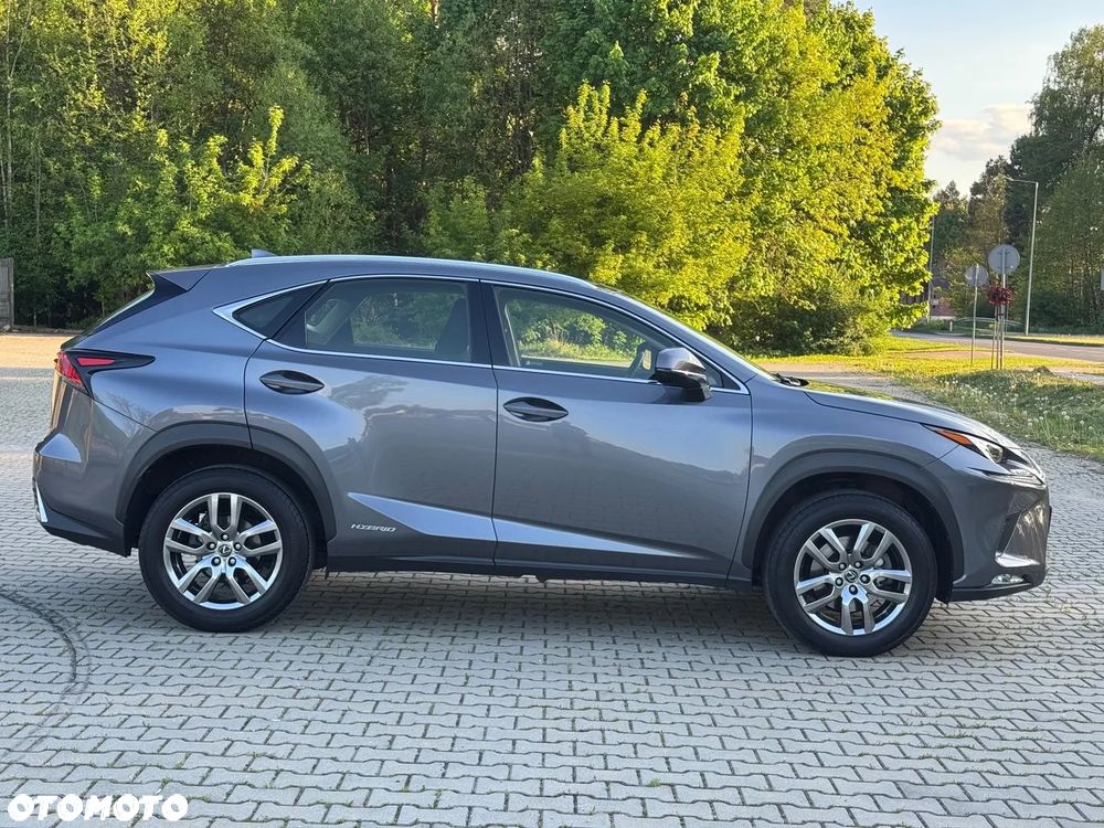 Lexus NX 300h Elegance + Business AWD - 5