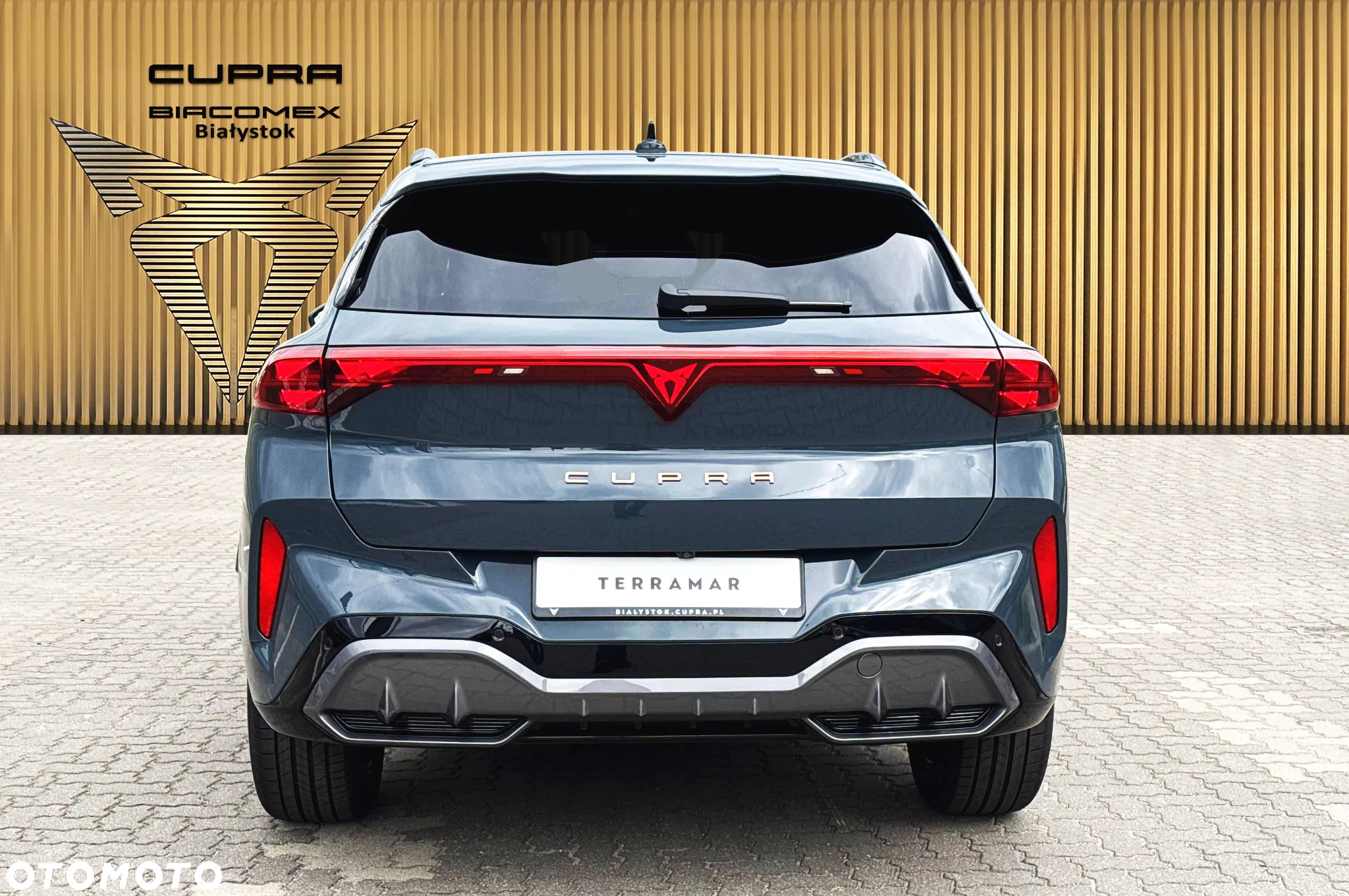Cupra Terramar - 5