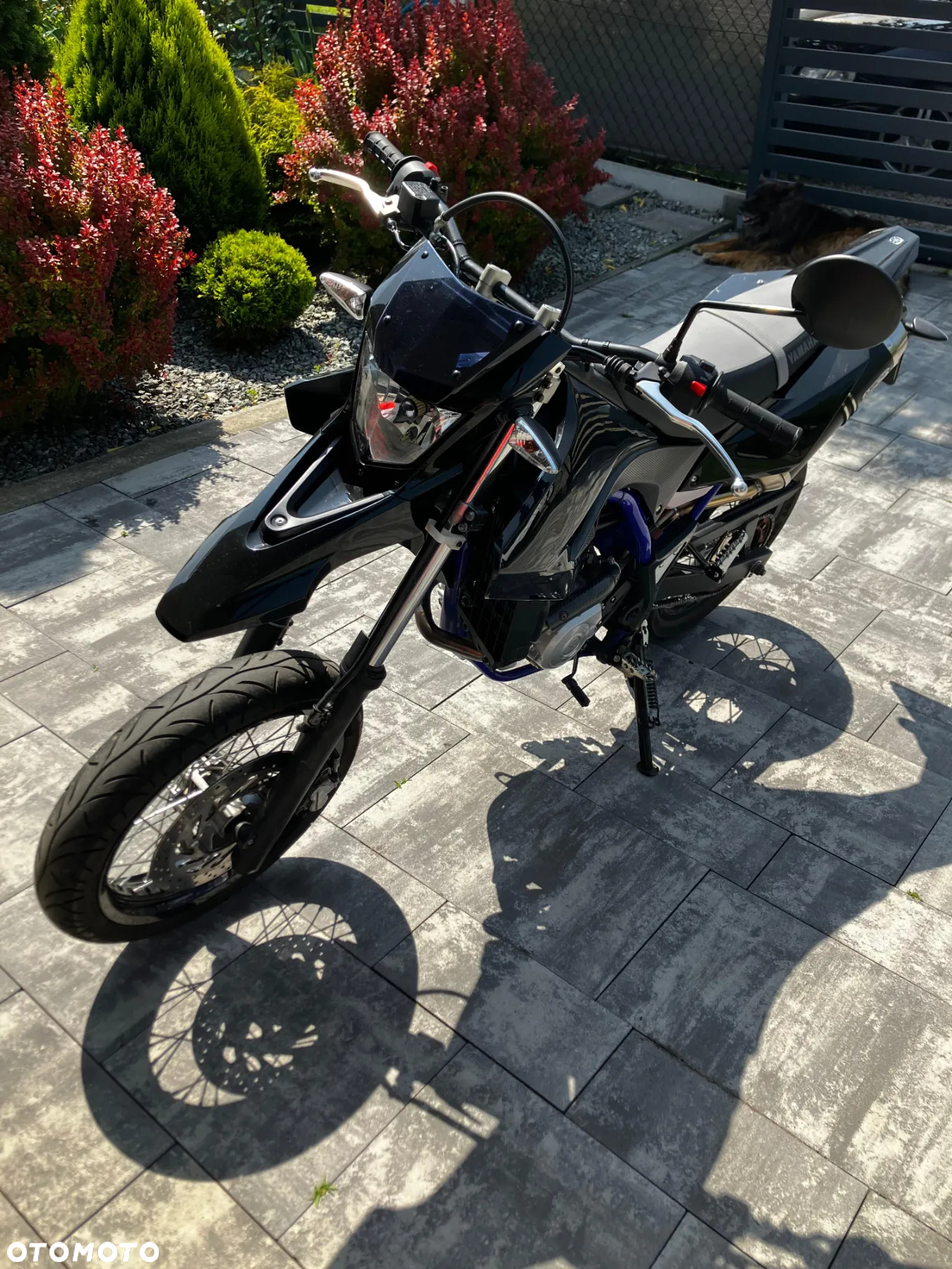 Yamaha WR - 2