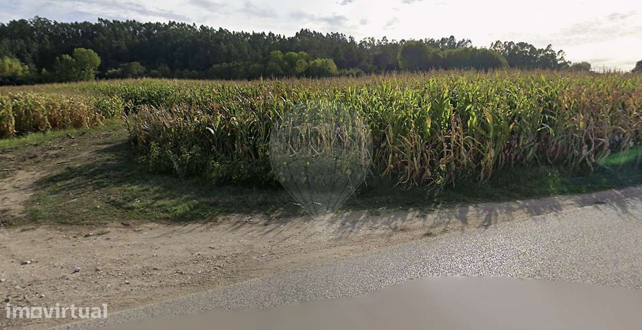 Terreno  para venda - Grande imagem: 3/4
