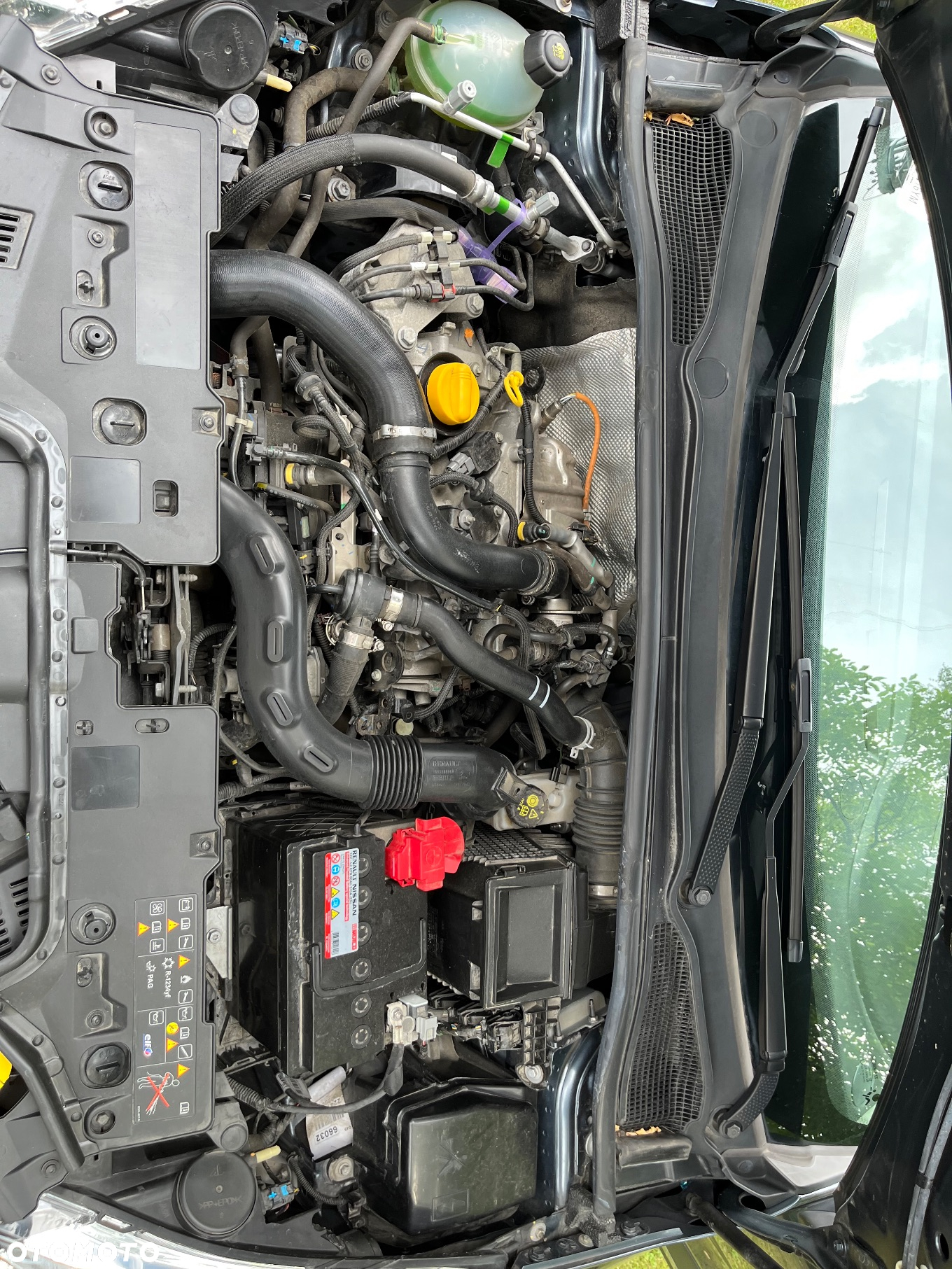 Renault Clio 0.9 Energy TCe Limited - 17
