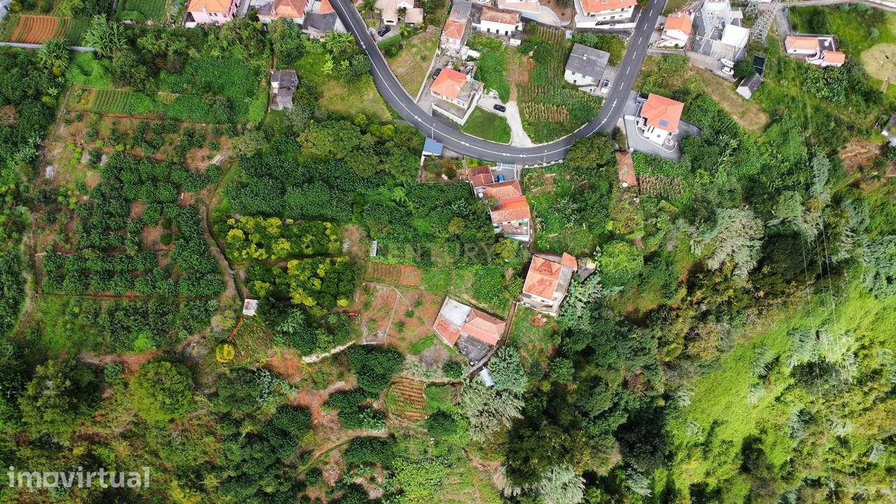 Terreno Agrícola em Faial, Santana - Ilha da Madeira - Grande imagem: 2/5