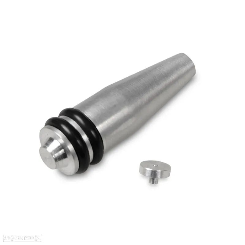 Remoção Anulação Borboletas BMW - Motores 2.0 Diesel N47 N47S - 1