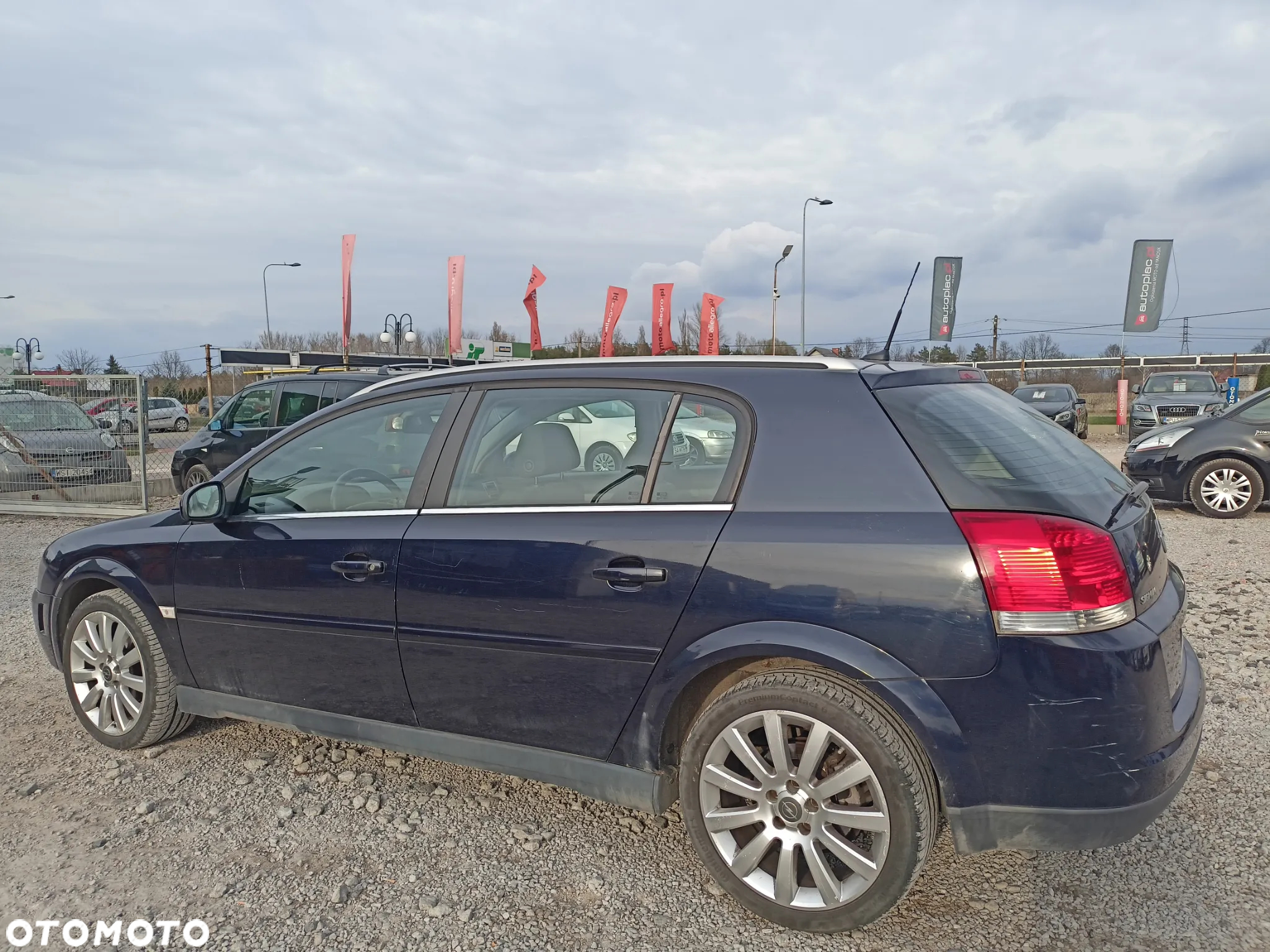 Opel Signum - 3
