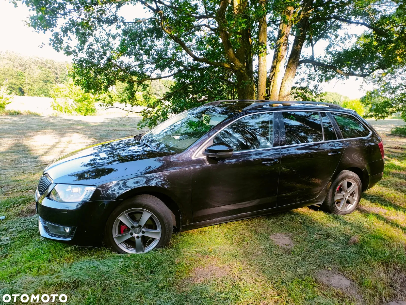 Skoda Octavia 1.6 TDI Ambition DSG - 10