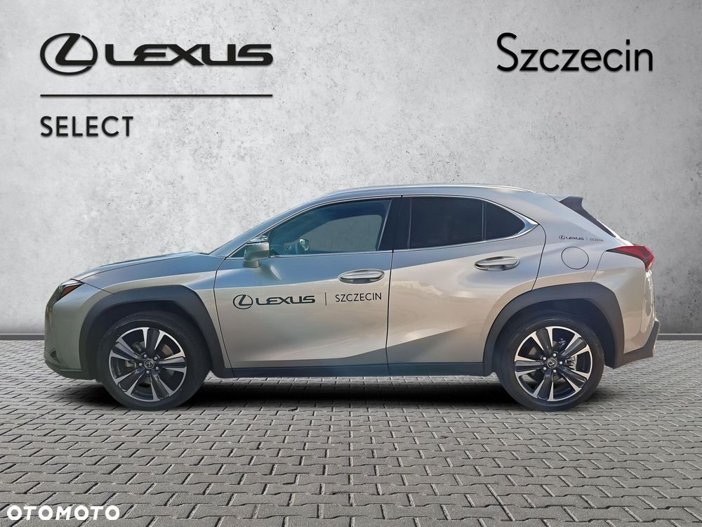 Lexus UX 300h Business - 2