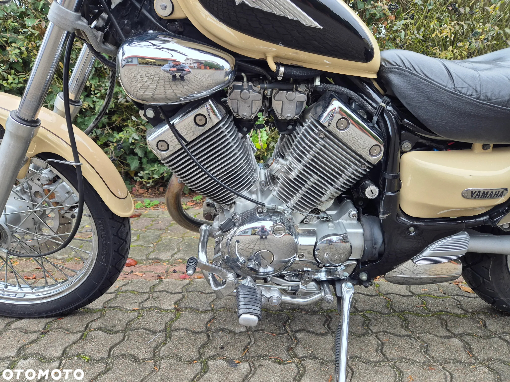 Yamaha Virago - 10