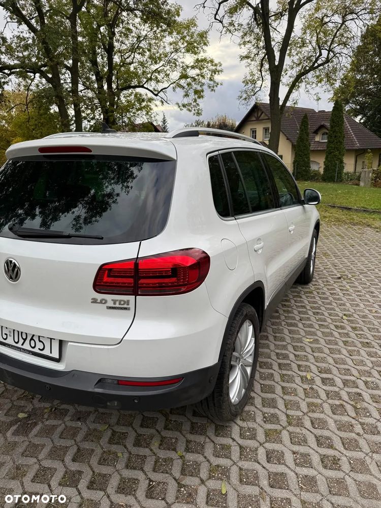 Volkswagen Tiguan - 3