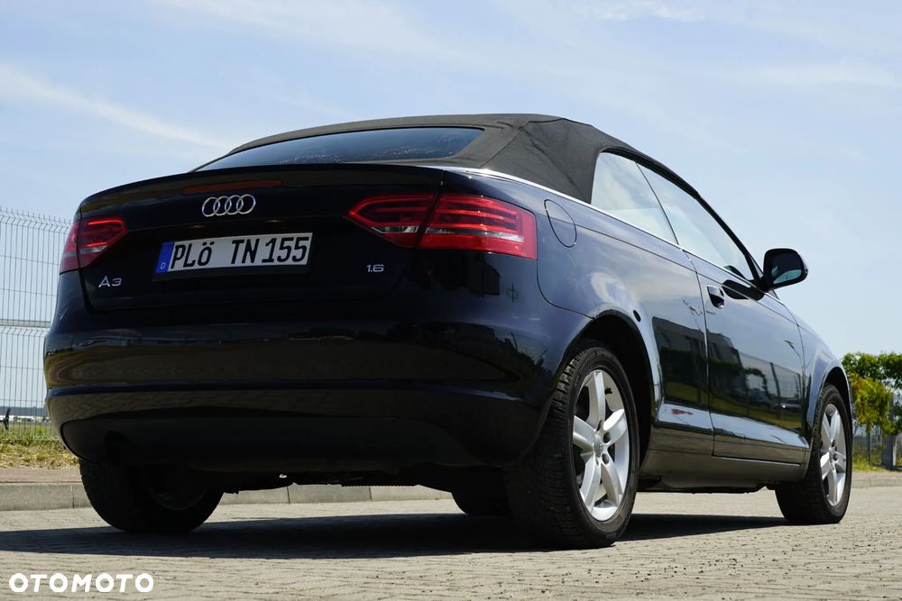 Audi A3 Cabrio 1.6 Ambition - 14