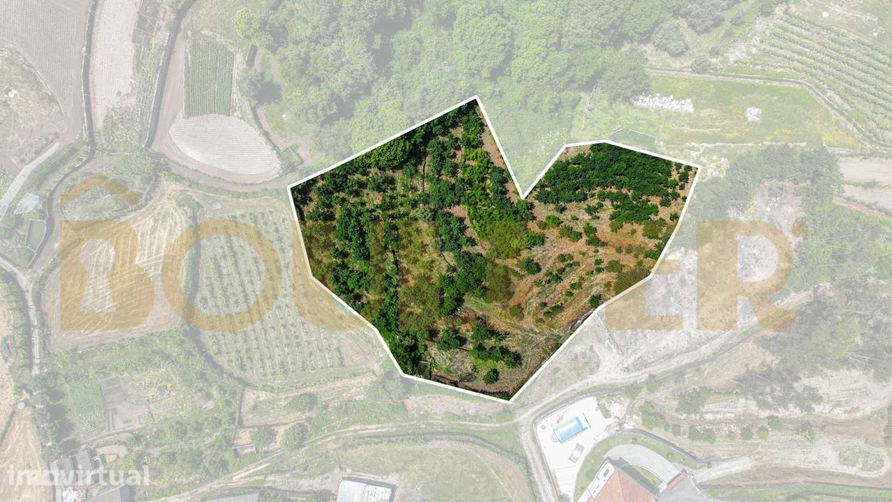 Terreno agrícola em Sobradelo da Goma - Grande imagem: 3/17