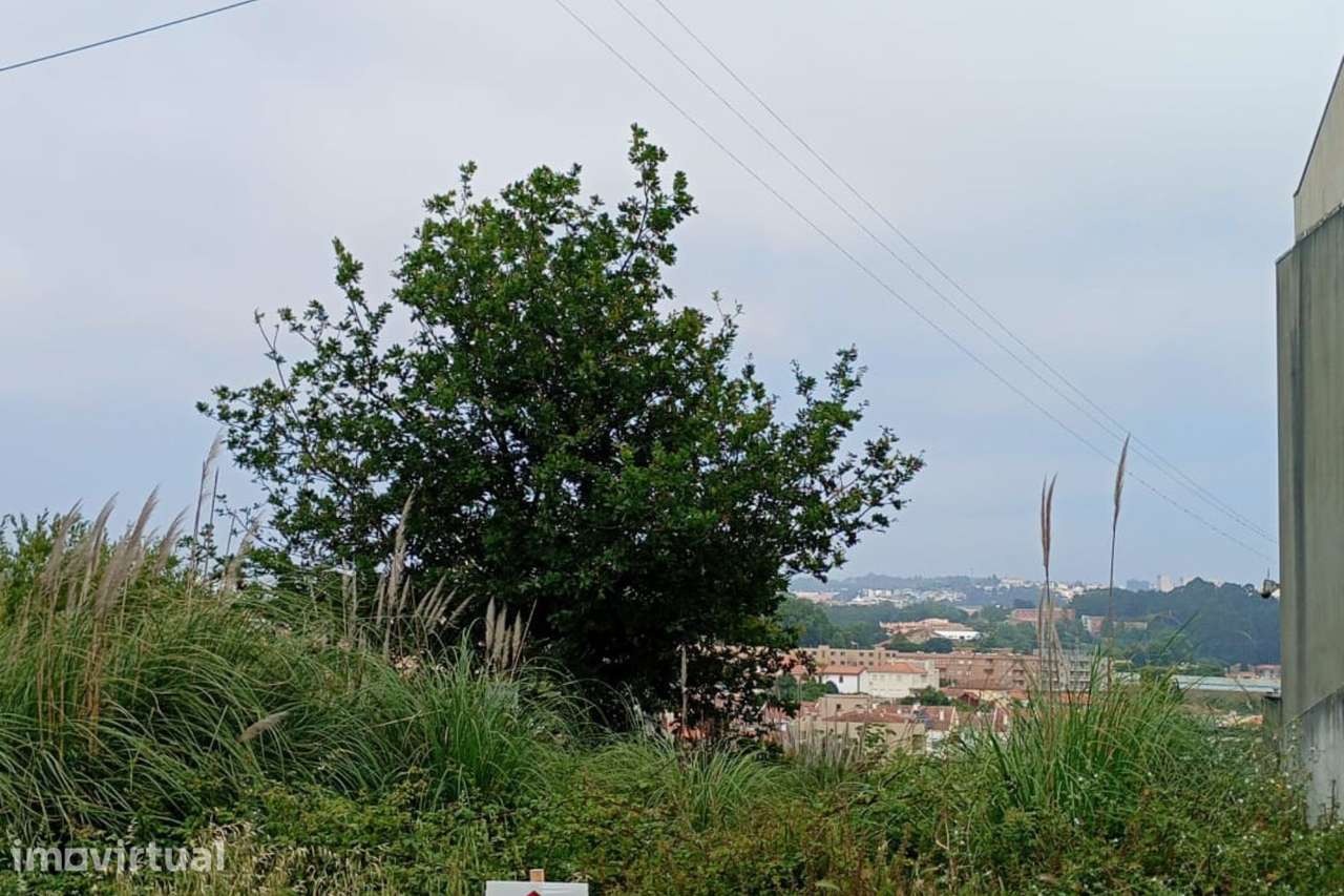 Lote de Terreno em Francelos - Grande imagem: 3/3