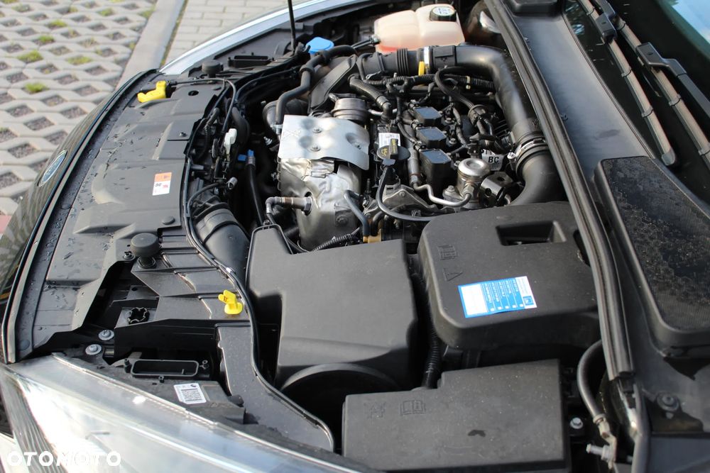 Ford Focus 1.0 EcoBoost ST-Line Black ASS - 25