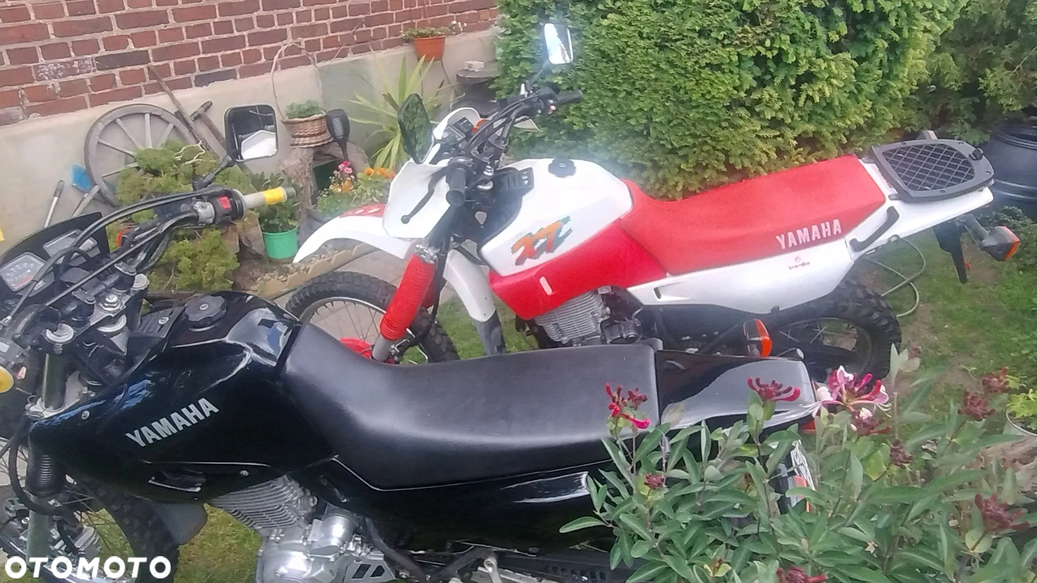 Yamaha XT