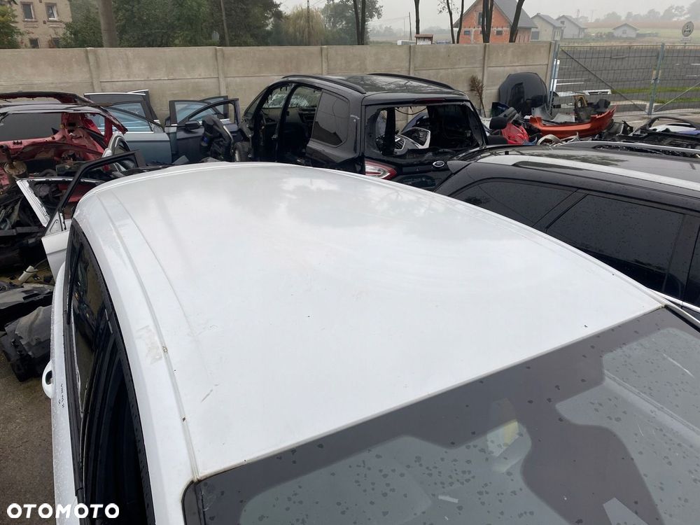 DACH S-MAX MK2 5F BIAŁY - 1