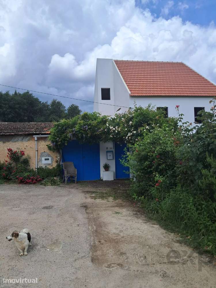 Quinta da Meda — Refúgio exclusivo com terreno à beira-rio a 2 minutos - Grande imagem: 4/47