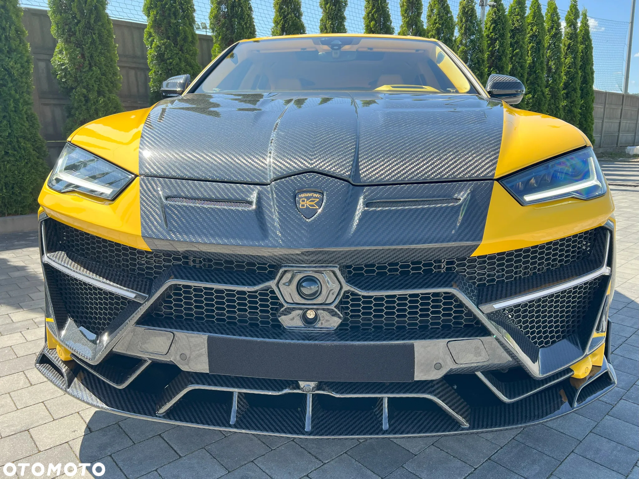 Lamborghini Urus Standard - 5