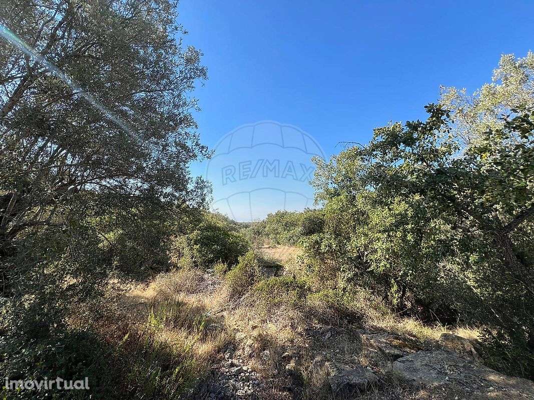 Terreno  para venda - Grande imagem: 3/13