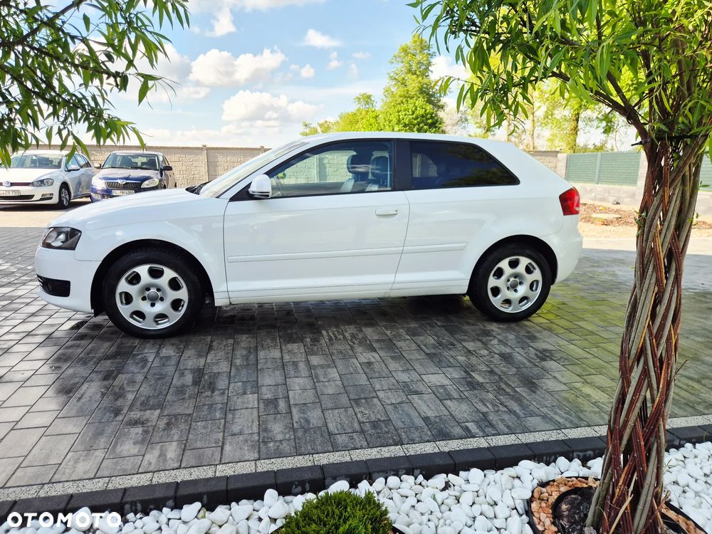 Audi A3 3-drzwiowe 2.0 TDI DPF S line Sportpaket - 12