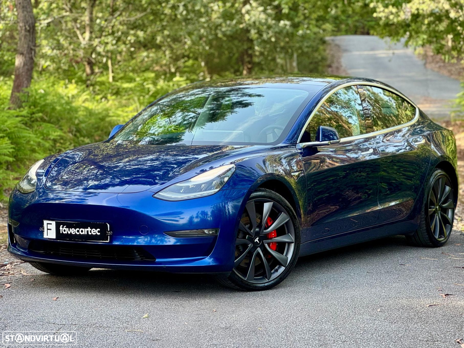 Tesla Model 3 Performance Dual Motor AWD - 18