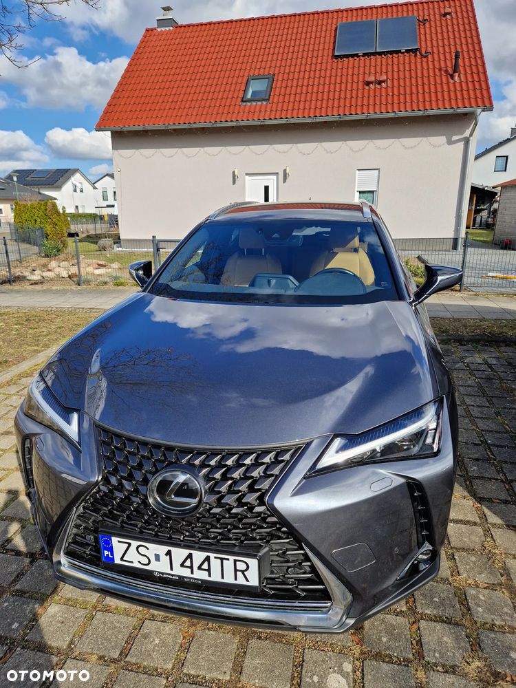 Lexus UX - 5