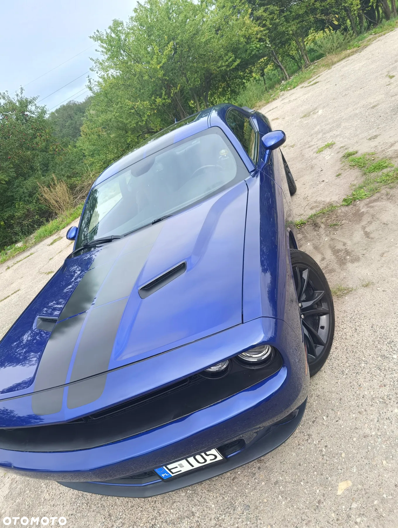 Dodge Challenger Automatik SXT Plus - 14