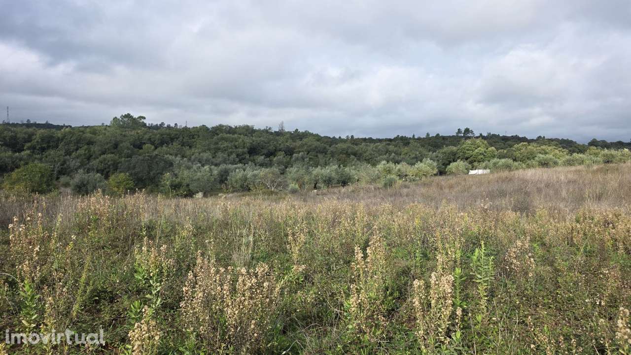 Terreno 18.800 m2, pequeno lago, com potencial para pomar ou agricultu - Grande imagem: 4/25